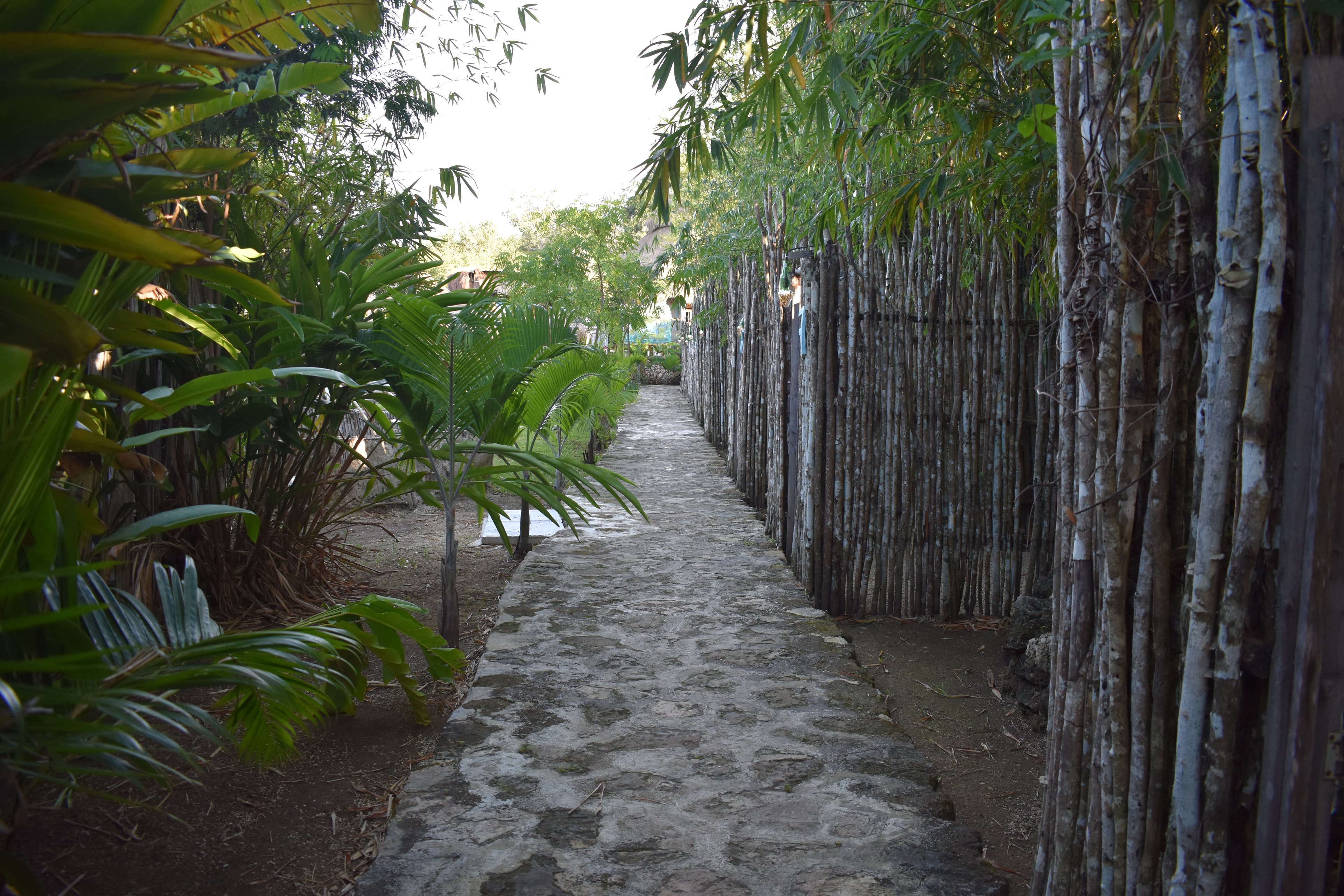 EMBAJADA UNIVERSAL: SEA SPIRIT gallery image 3