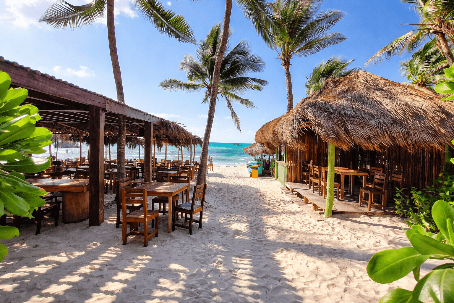 Franchise background