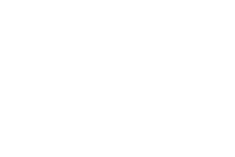 LA VILLA DEL SEÑOR logo